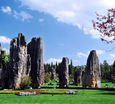 石林图片,石林图库,石林旅游图片