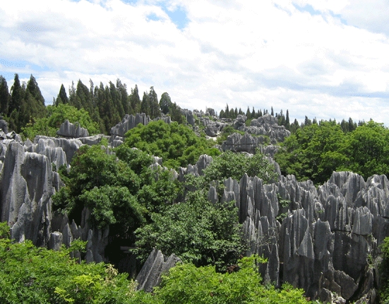 石林图片,石林图库,石林旅游图片