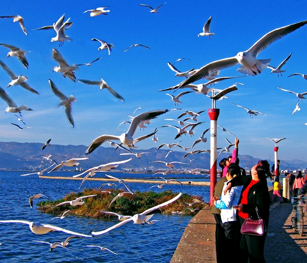 翠湖公园图片,翠湖公园图库,翠湖公园旅游图片
