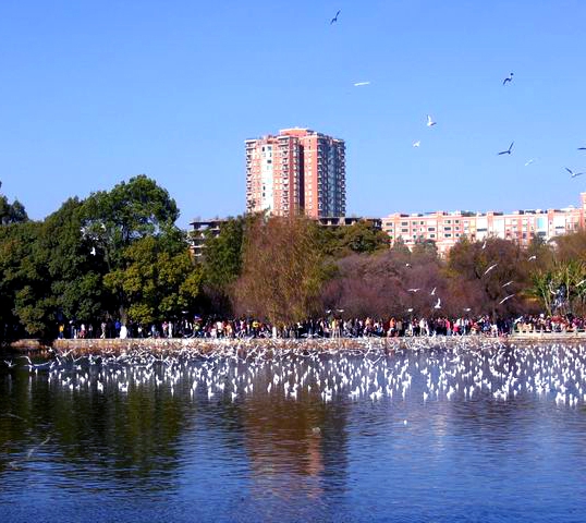 翠湖公园图片,翠湖公园图库,翠湖公园旅游图片