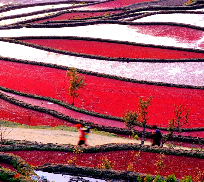 红土地图片,红土地图库,红土地旅游图片