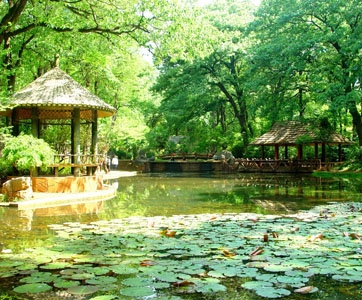 黑龙潭图片,黑龙潭图库,黑龙潭旅游图片