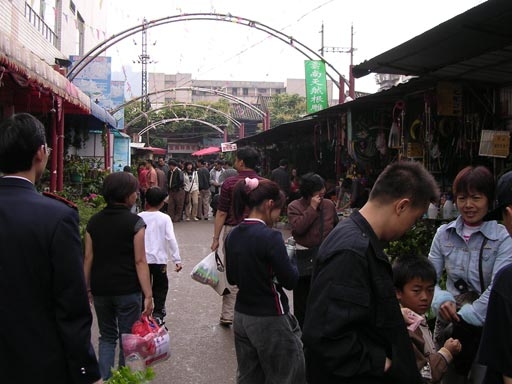 景星花鸟市场图片,景星花鸟市场图库,景星花鸟市场旅游图片