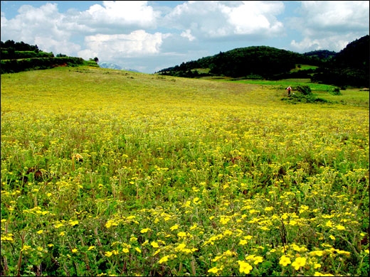 伽峰山图片,伽峰山图库,伽峰山旅游图片