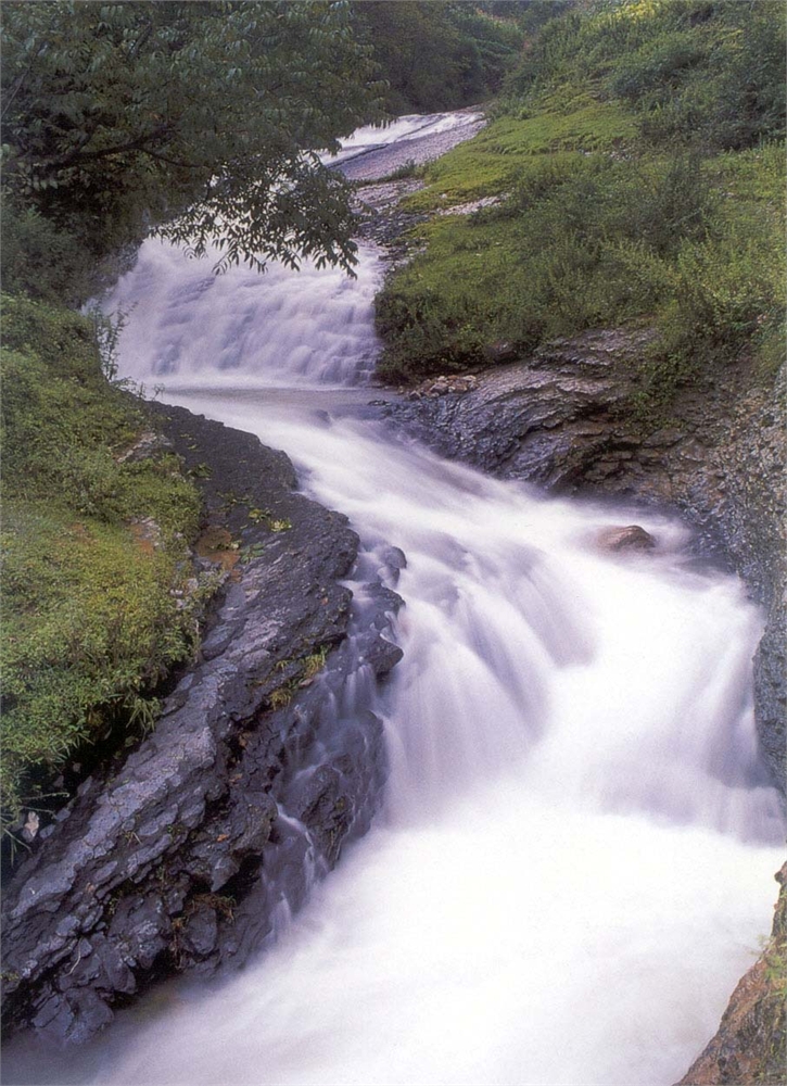 轿子雪山图片,轿子雪山图库,轿子雪山旅游图片