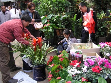 斗南花市图片,斗南花市图库,斗南花市旅游图片