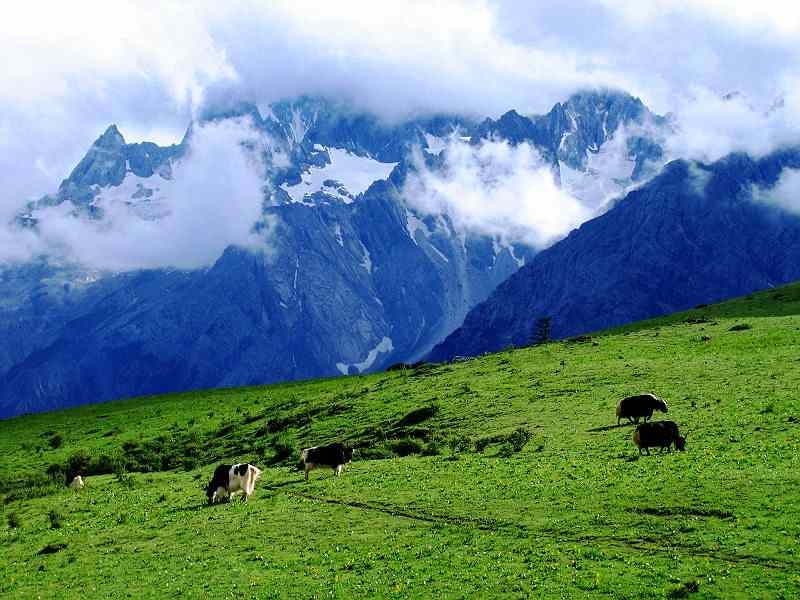 玉龙雪山图片,玉龙雪山图库,玉龙雪山旅游图片
