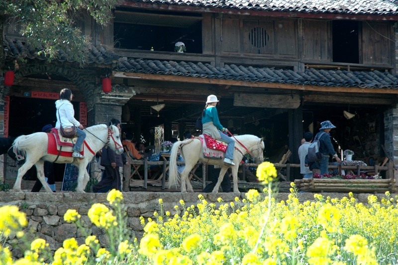束河古镇图片,束河古镇图库,束河古镇旅游图片