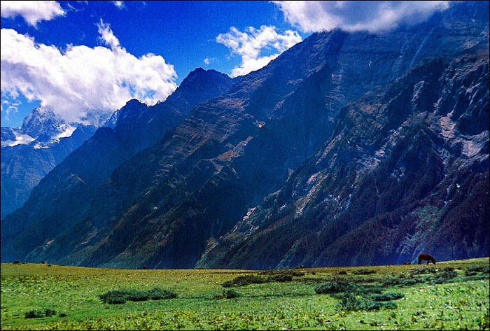 玉龙雪山牦牛坪 图片,玉龙雪山牦牛坪 图库,玉龙雪山牦牛坪 旅游图片