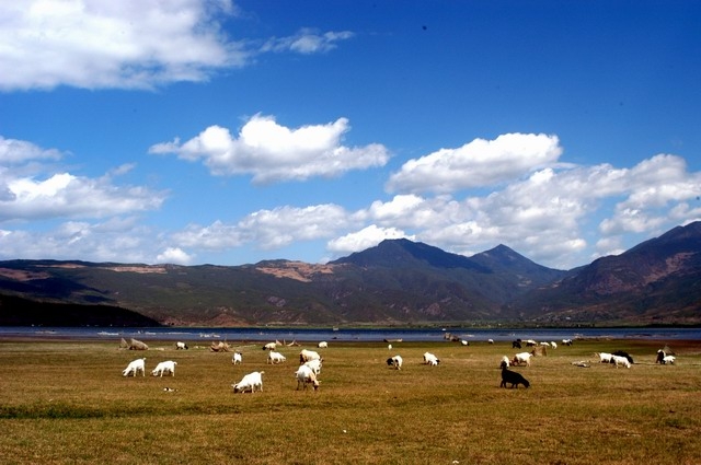 拉市海图片,拉市海图库,拉市海旅游图片
