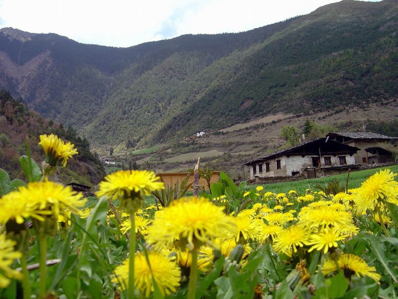 雨崩村图片,雨崩村图库,雨崩村旅游图片
