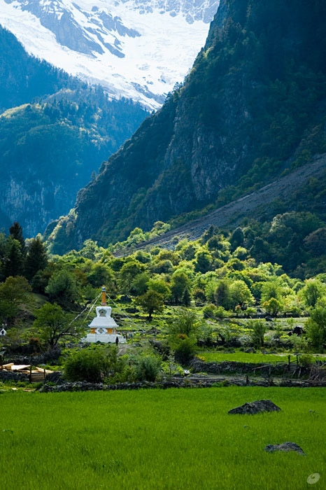雨崩村图片,雨崩村图库,雨崩村旅游图片