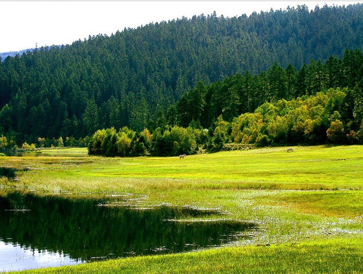 属都湖图片,属都湖图库,属都湖旅游图片
