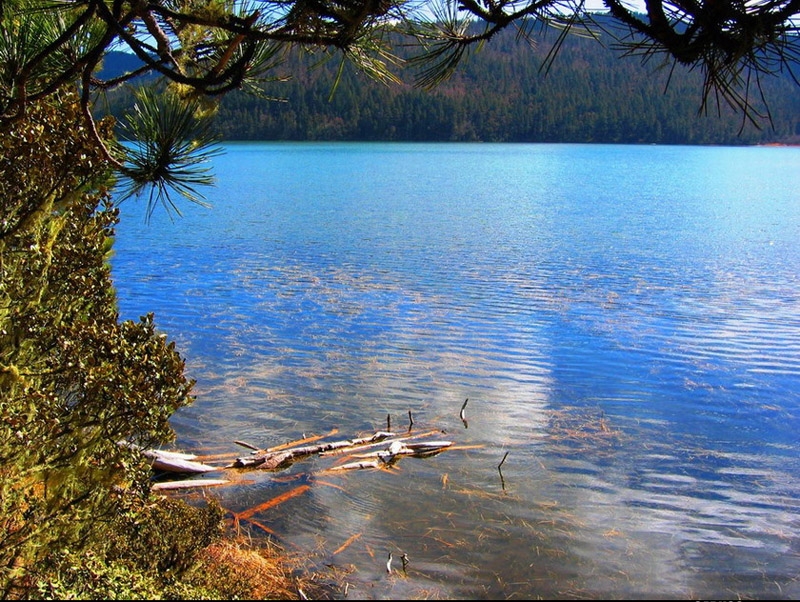 碧塔海图片,碧塔海图库,碧塔海旅游图片