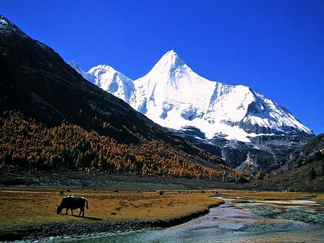 白茫雪山图片,白茫雪山图库,白茫雪山旅游图片