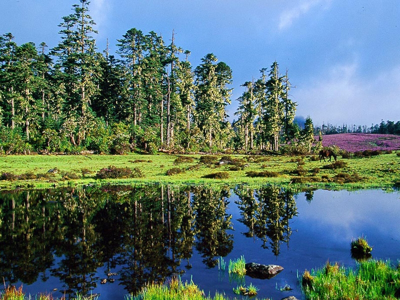 千湖山图片,千湖山图库,千湖山旅游图片