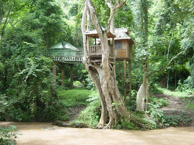 野象谷图片,野象谷图库,野象谷旅游图片