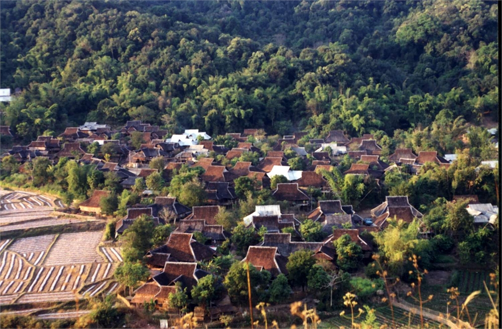 橄榄坝图片,橄榄坝图库,橄榄坝旅游图片