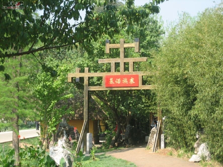 基诺族山寨风光图片,基诺族山寨风光图库,基诺族山寨风光旅游图片