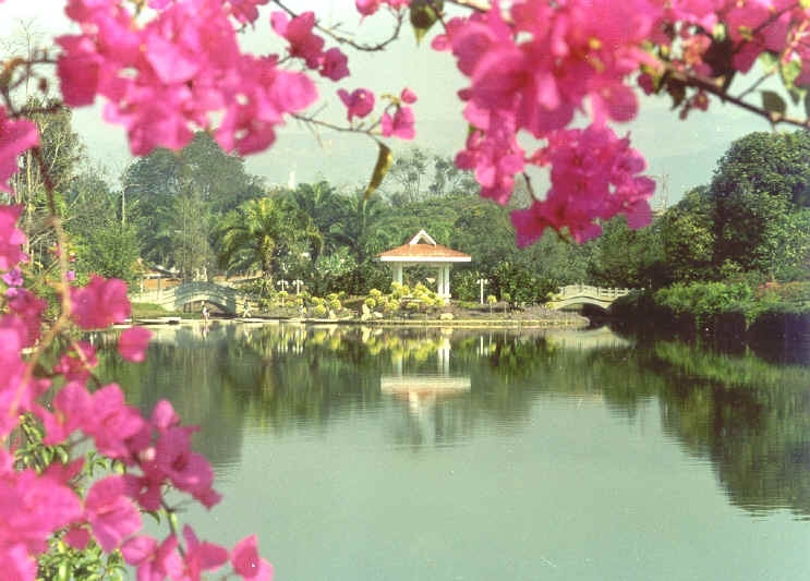 版纳热带花卉园图片,版纳热带花卉园图库,版纳热带花卉园旅游图片