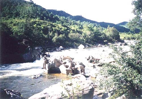槟榔江风光图片,槟榔江风光图库,槟榔江风光旅游图片