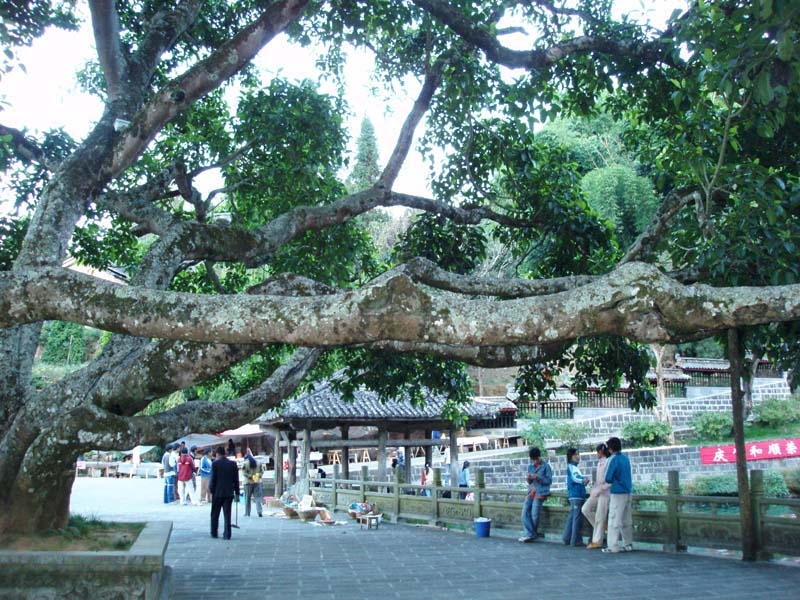 和顺名镇图片,和顺名镇图库,和顺名镇旅游图片
