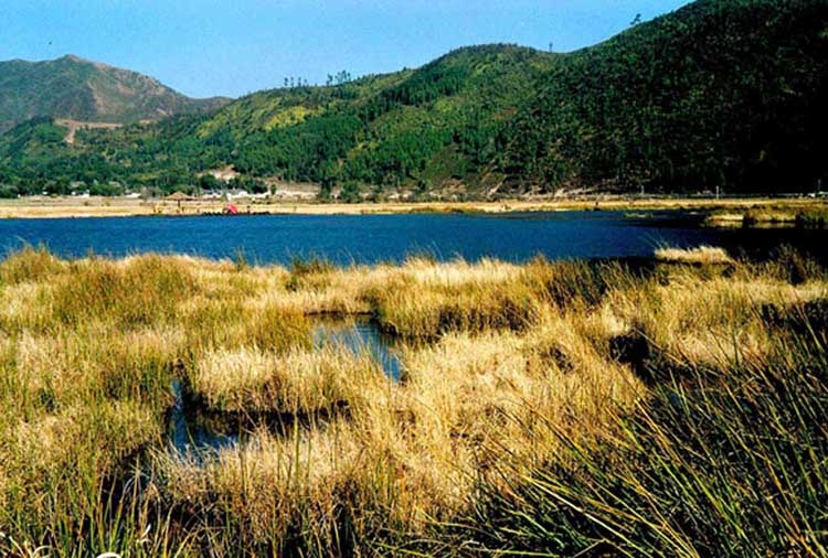 北海湿地图片,北海湿地图库,北海湿地旅游图片