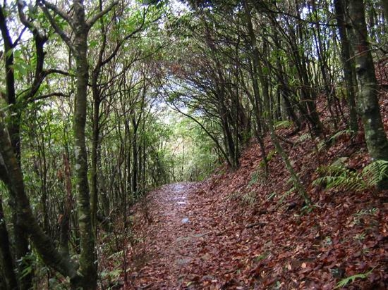 可渡河古驿道图片,可渡河古驿道图库,可渡河古驿道旅游图片