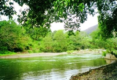 河口南溪河图片,河口南溪河图库,河口南溪河旅游图片