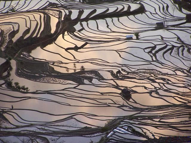 元阳哈尼梯田图片,元阳哈尼梯田图库,元阳哈尼梯田旅游图片