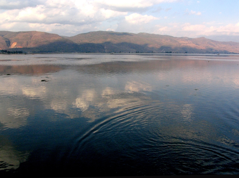 石屏异龙湖图片,石屏异龙湖图库,石屏异龙湖旅游图片