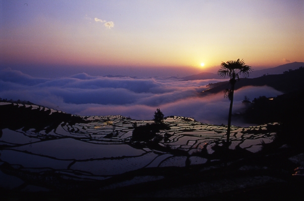 哀牢山自然保护区图片,哀牢山自然保护区图库,哀牢山自然保护区旅游图片