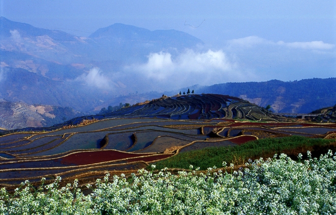 哀牢山自然保护区图片,哀牢山自然保护区图库,哀牢山自然保护区旅游图片