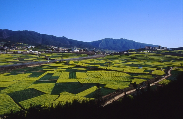 哀牢山自然保护区图片,哀牢山自然保护区图库,哀牢山自然保护区旅游图片