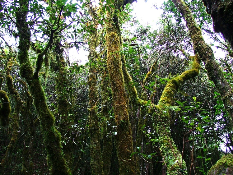 磨盘山森林公园图片,磨盘山森林公园图库,磨盘山森林公园旅游图片