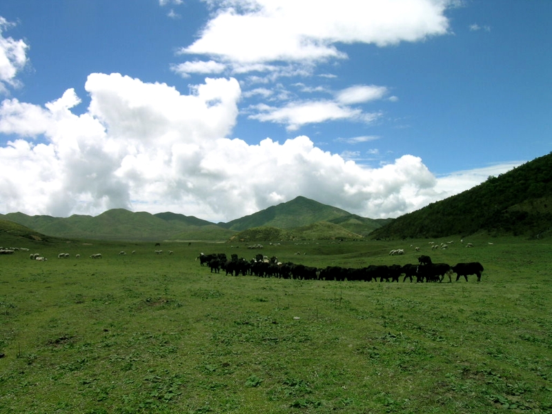 苍山图片,苍山图库,苍山旅游图片