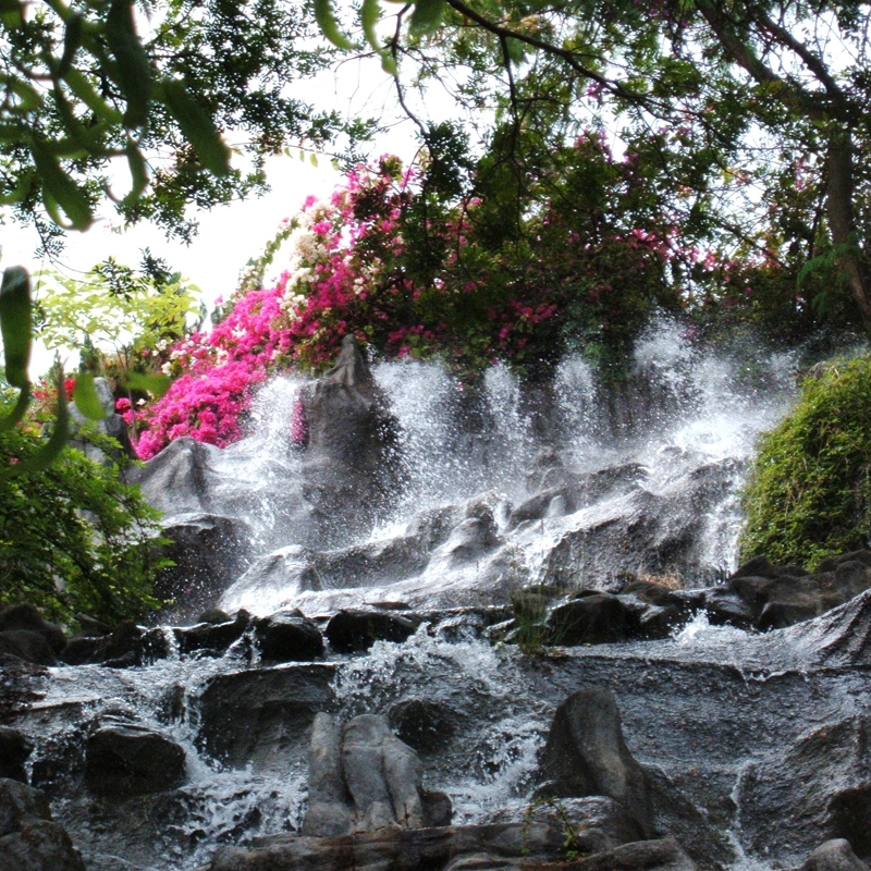 南诏风情岛图片,南诏风情岛图库,南诏风情岛旅游图片