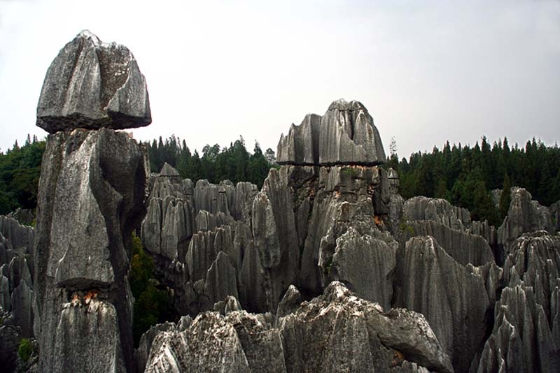 石林图片,石林图库,石林旅游图片