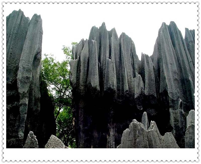 石林图片,石林图库,石林旅游图片