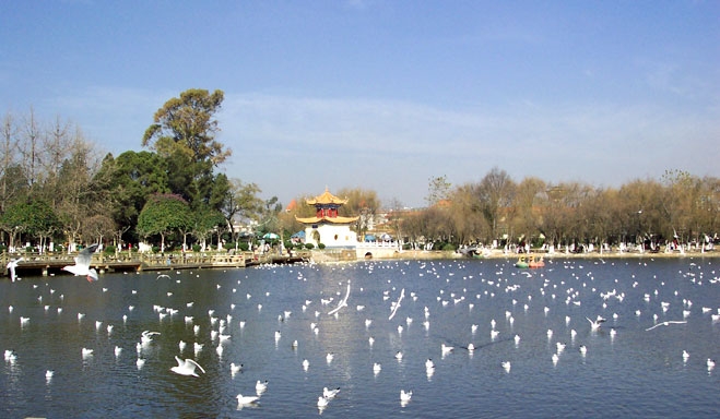 大观楼图片,大观楼图库,大观楼旅游图片