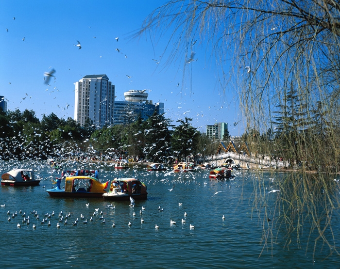 翠湖公园图片,翠湖公园图库,翠湖公园旅游图片