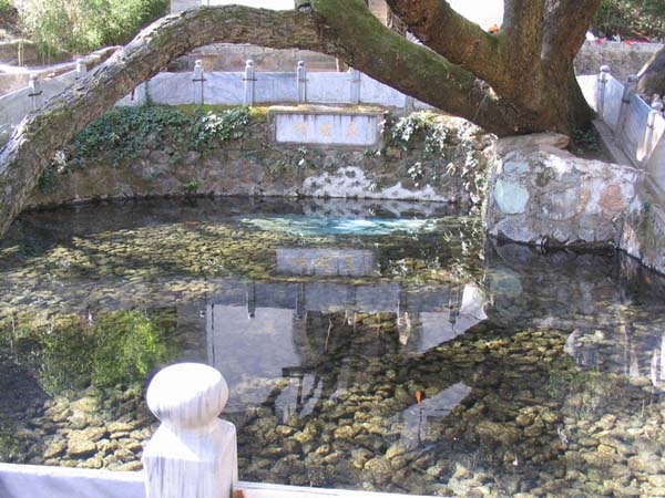蝴蝶泉图片,蝴蝶泉图库,蝴蝶泉旅游图片