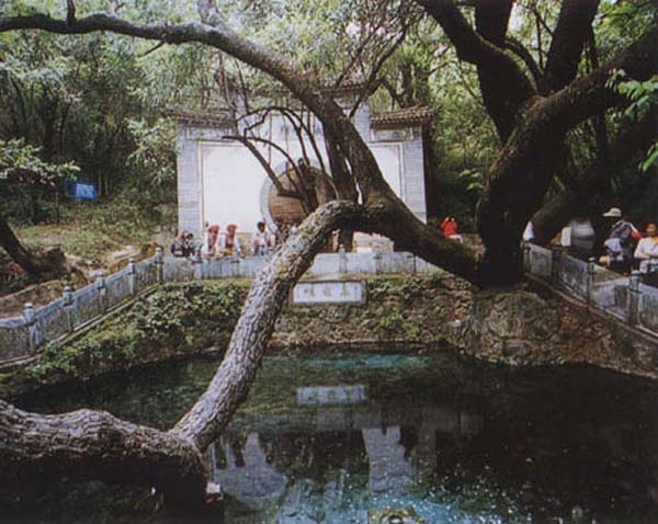 蝴蝶泉图片,蝴蝶泉图库,蝴蝶泉旅游图片