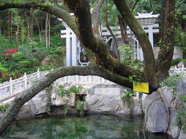 蝴蝶泉图片,蝴蝶泉图库,蝴蝶泉旅游图片