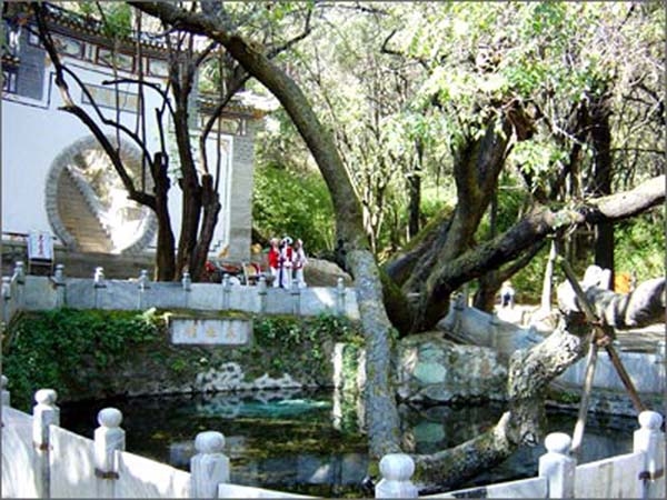 蝴蝶泉图片,蝴蝶泉图库,蝴蝶泉旅游图片